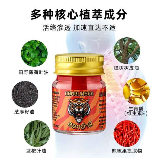 【团购秒杀】泰国DOKVUASEE多博斯老虎膏15g/瓶*3瓶 商品图1