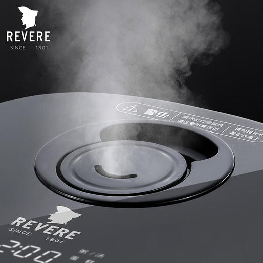 【小家电】REVERE家用IH系列4L电饭煲RES-DG-DF402 HF 商品图1