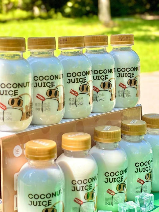 逆牌NFC鲜椰汁（246g×10瓶） 商品图2