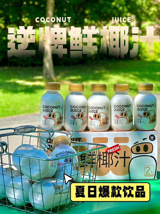 逆牌NFC鲜椰汁（246g×10瓶） 商品图0