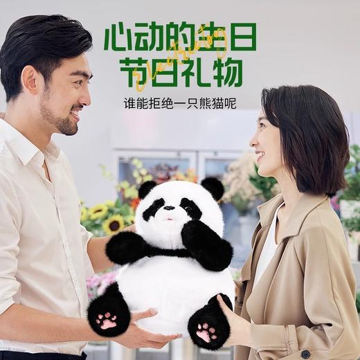趣巢抱抱胖达仿真大熊猫可眨眼卖萌超可爱公仔儿童生日礼物 商品图3