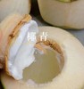 好喝到逆天的chun天然无添加的【泰国Coco Thumb椰青】超级🤩推荐‼纯正椰子🥥新鲜香甜，超清爽，现开椰子就是✅甜度高，✅椰味浓!Coco Thumb即开即饮，多汁清甜🫧 商品缩略图1