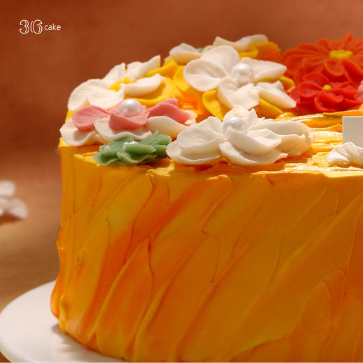 秋阳灿，可选1.5/2.5磅-冰淇淋口味仅限深圳广州佛山可选 商品图3