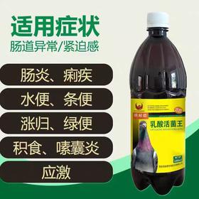 【乳酸活菌王】1000ml，高浓缩活菌微生态制剂 （欧耐德）