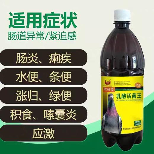【乳酸活菌王】1000ml，高浓缩活菌微生态制剂 （欧耐德） 商品图1