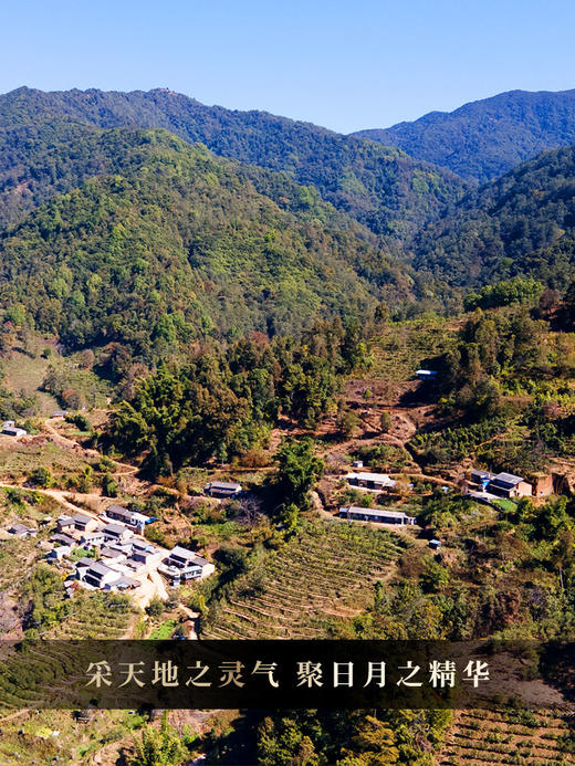 尾货清，余1箱【小荒田散茶】2024年春茶临沧茶区古树茶普洱茶生茶散茶250克/箱 商品图8