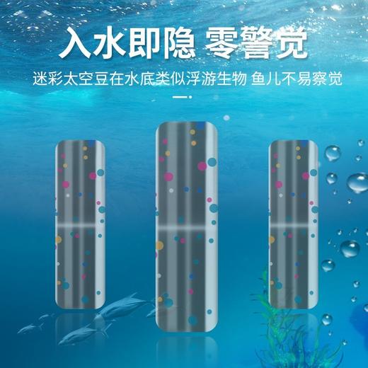 竞技太空豆超紧德州卡罗莱纳钓组专用 商品图1