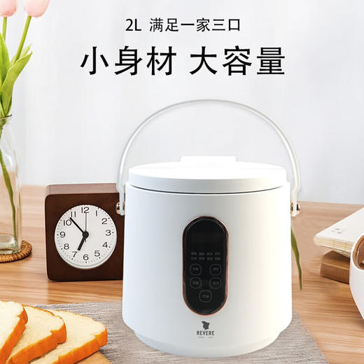 【小家电】REVERE家用2L智能电饭煲2LRES-DF-X2/YK HF 商品图2