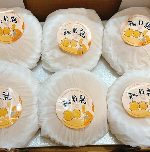 山东秋月梨 6头约3.4斤 |水果 商品图3