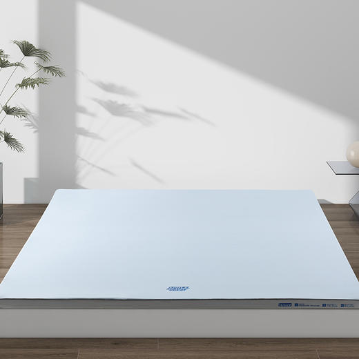 梦洁MENDALE 登月床垫-云浮1010691172/1010691173 商品图2