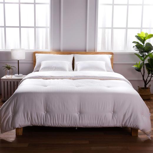 【远梦】植选大豆抗菌冬被 商品图0