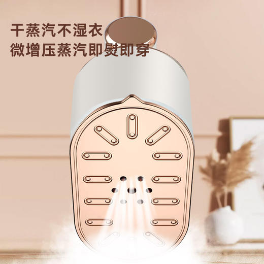 艾贝丽手持蒸汽熨烫机ABL-G209 商品图2
