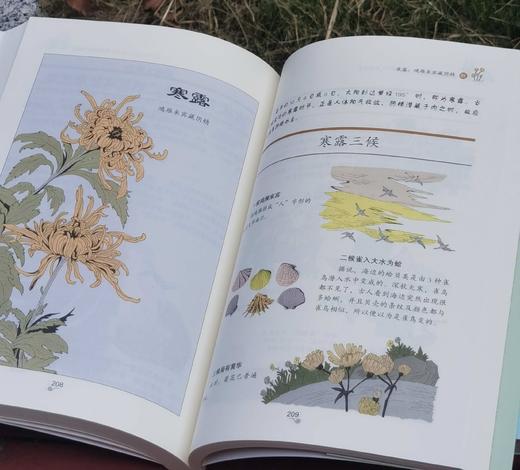 《漫画黄帝内经》，16开平装，马寅中著，华龄出版社2024年一版五印，564页，定价168元，售价65元。 商品图5