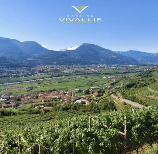 【2024.10.18武康门票 Wukang Ticket】意大利万岁谷酒庄｜莫扎特歌剧里的葡萄田 商品图0