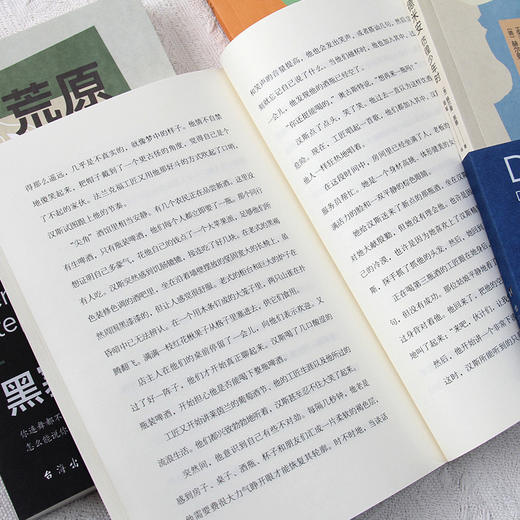 【图书】《黑塞四部曲》（全4册）| 诺贝尔文学奖获奖作家黑塞四部作品，《荒原狼》《德米安》《悉达多》《在轮下》，9岁+ 商品图3