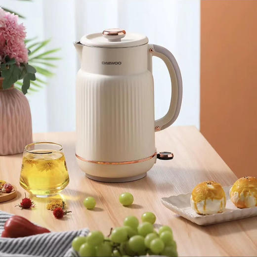 大宇电热水壶DYSH-15F82 商品图0