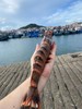 【渔船海捕】特大红爪虾 巨无霸大虾鲜虾 单只3~8两 顺丰包邮活冻 商品缩略图1
