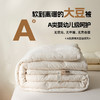 老米优品🎈 【A类母婴ji  水洗原棉99大豆被】0荧光0甲醛0芳香胺，日式纯棉99%大豆纤维被芯 冬被 商品缩略图3