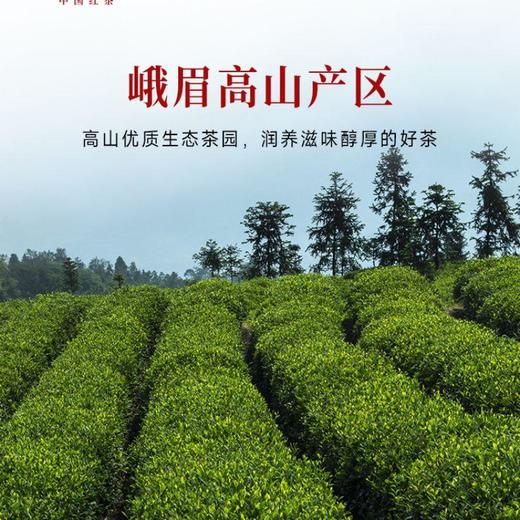 竹叶青牌万紫千红茶红茶150g 商品图3