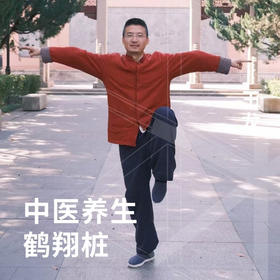 中医养生鹤翔桩