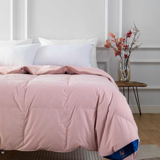 【远梦】蚕丝羽绒子母被 商品图2