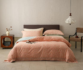 奢纺绒磨毛肌理 秋韵