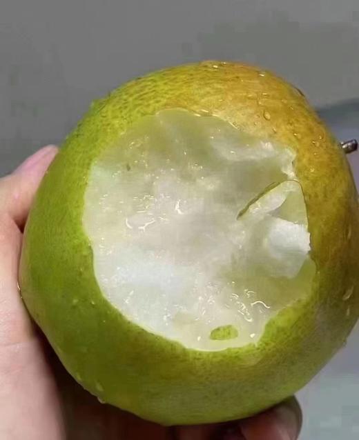 玉露香梨 商品图0