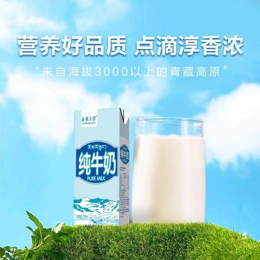 【高原之宝】纯牛奶250毫升*12盒整箱学生早餐奶拉萨产地纯牛奶 商品图3