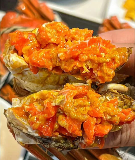 📣【活蟹现货🦀生鲜精选】💥2两母8只装仅需218💰【蟹太太🦀礼盒💝】来袭！巨划算❗秋天最销魂的一口已经到来，一线明星黄晓明倾情代言🏅✅蟹太太大闸蟹，蟹香四溢，膏黄诱人 商品图5
