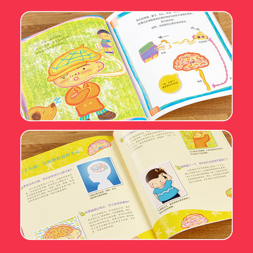小小科学家 第一辑、第二辑 商品图6