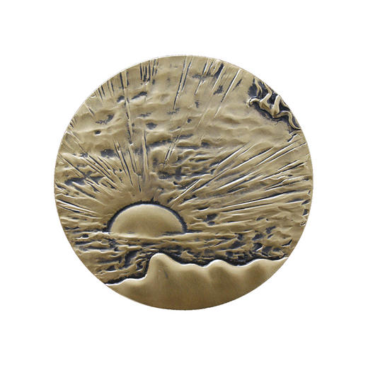 《不变的风景》纪念章--沉沦铜章 商品图1