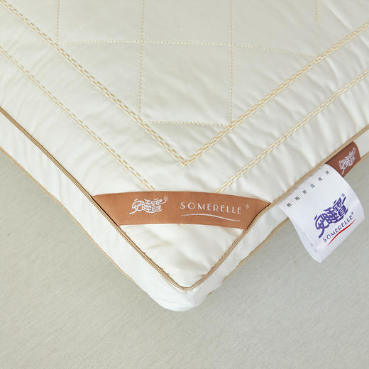 【春上新】10楼 安睡宝 双面复合蚕丝枕48×74cm  吊牌价1198元/对 活动价299元/对 商品图4