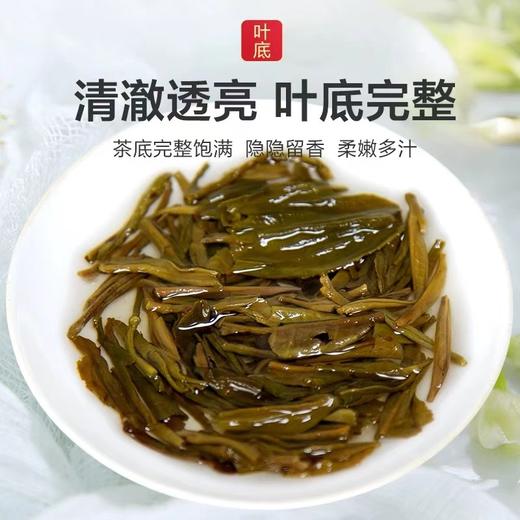 花茶 | 潇湘 2025年 经典1988茉莉花茶 100g/罐 商品图4