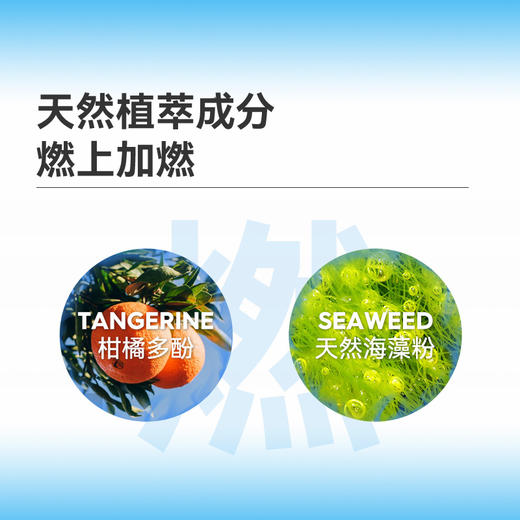 【盼盼专属】万益蓝wonderlab小蓝瓶成人益生菌粉b420即食乳酸菌益生元30颗 商品图2
