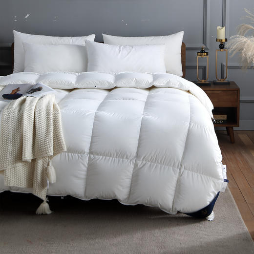 远梦95%白鹅绒冬厚被 商品图1