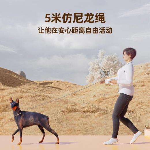 宠德奇可伸缩牵引遛狗绳 商品图2
