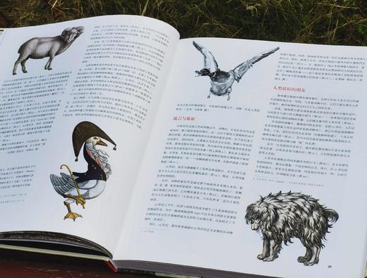《动物凶猛：版画博物馆里的奇兽》，12开精装，铜版彩印，[法]雷米 马蒂斯著，北京联合出版公司2021年一版一印，167页，定价188，售价66元。 商品图5