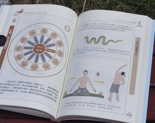 《漫画黄帝内经》，16开平装，马寅中著，华龄出版社2024年一版五印，564页，定价168元，售价65元。 商品图12