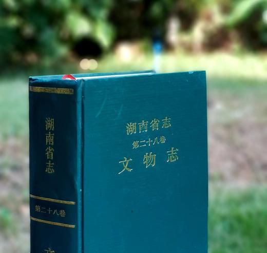 《湖南省志 文物志》，精装，32开，湖南省地方志编纂委员会编，侯良主编，湖南出版社1995年一版一印，950页，售价55元。 商品图1