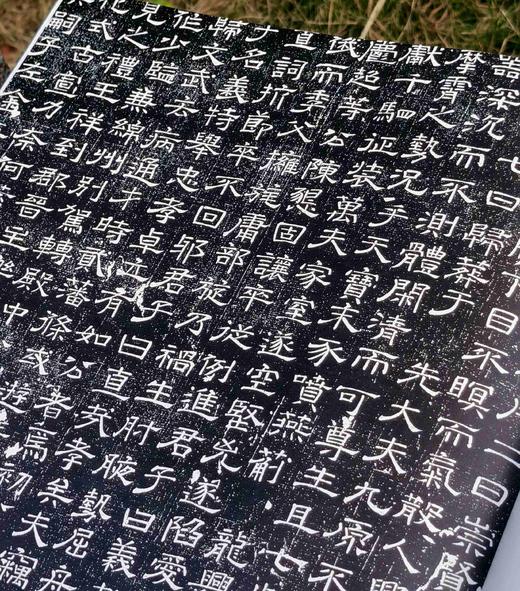 《石墨镌华：关中民俗艺术博物院收藏碑志集释》，8开，精装，何如月著，陕西师范大学出版社2023年12月一版一印，333页，定价498元，售价228元。 商品图14