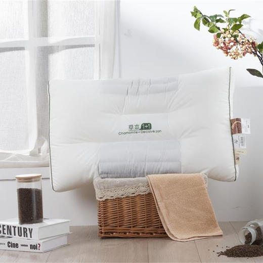 远梦朴味草本1+1决明子枕 商品图0