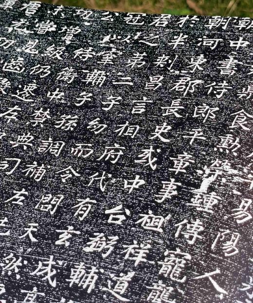 《石墨镌华：关中民俗艺术博物院收藏碑志集释》，8开，精装，何如月著，陕西师范大学出版社2023年12月一版一印，333页，定价498元，售价228元。 商品图10