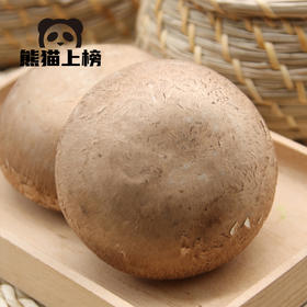 奥吉特褐菇｜菌香浓郁 滋味鲜甜 口感滑嫩 1kg 3kg