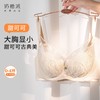 奶糖派甜可可全罩杯文胸大包裹古典蕾丝大胸显小亲肤承托舒适内衣 商品缩略图1