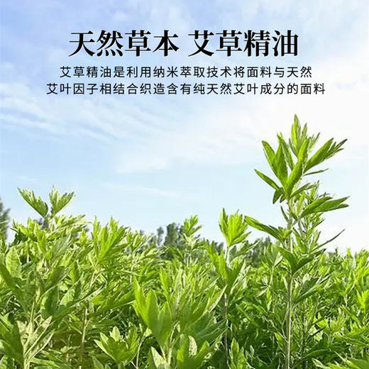 【边穿边艾灸 健康又暖身】艾草养肤保暖内衣 7A抗菌 恒温保暖 男女同款 全家保暖 商品图2