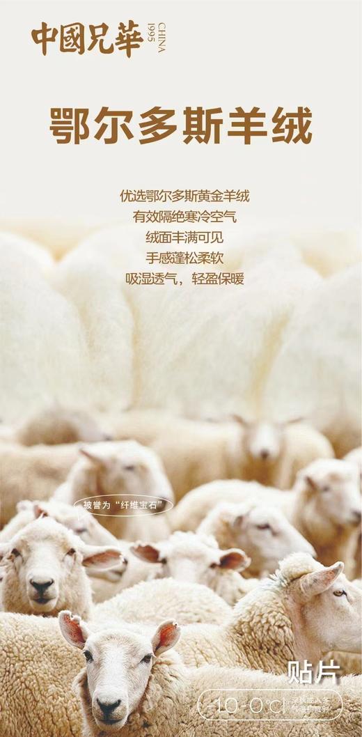 背心衬裤兄华温泉养肤无痕圆领 商品图3