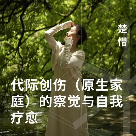 代际创伤（原生家庭）的察觉与自我疗愈 商品图0