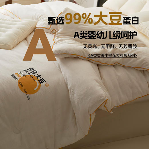 【A类贡缎提花99大豆被】柔软提花被芯a类加厚被子冬被母婴纯色99大豆纤维被 商品图3
