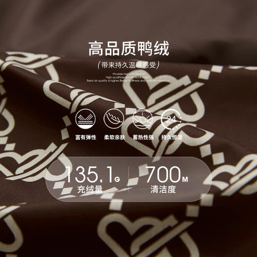 高级感老花立领连帽短款羽绒服女秋冬面包服保暖外套V0043510 商品图4