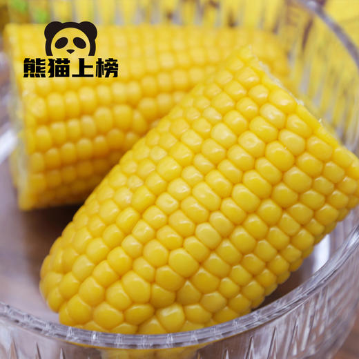 喜乐掰掰甜糯玉米｜东北玉米 甜糯玉米 轻食代餐 黄糯玉米棒 商品图1